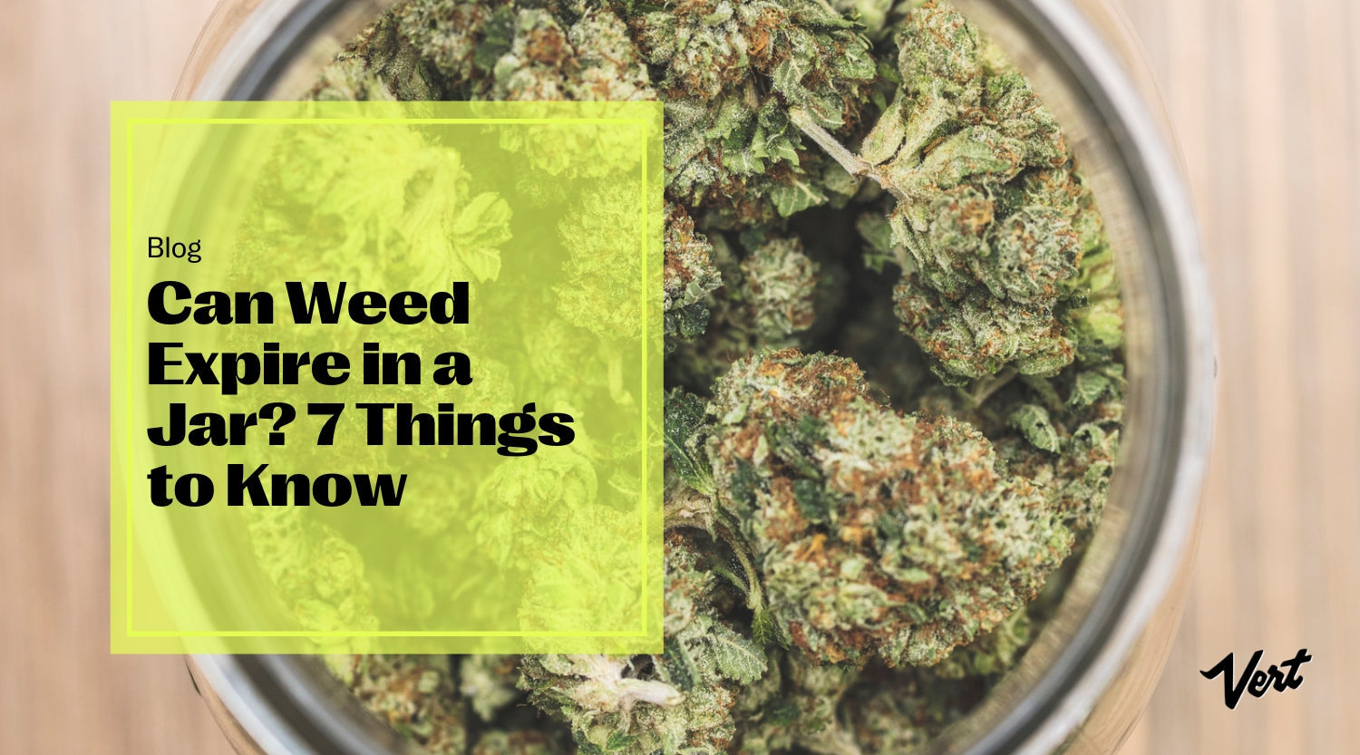 Can Weed Expire in a Jar? 7 Things to Know