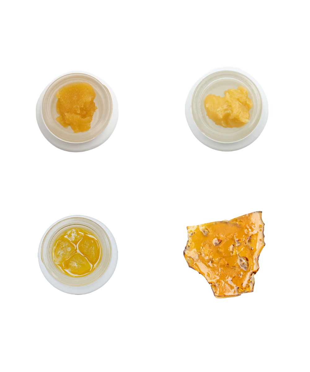 Four small containers of cannabis concentrate on a white background