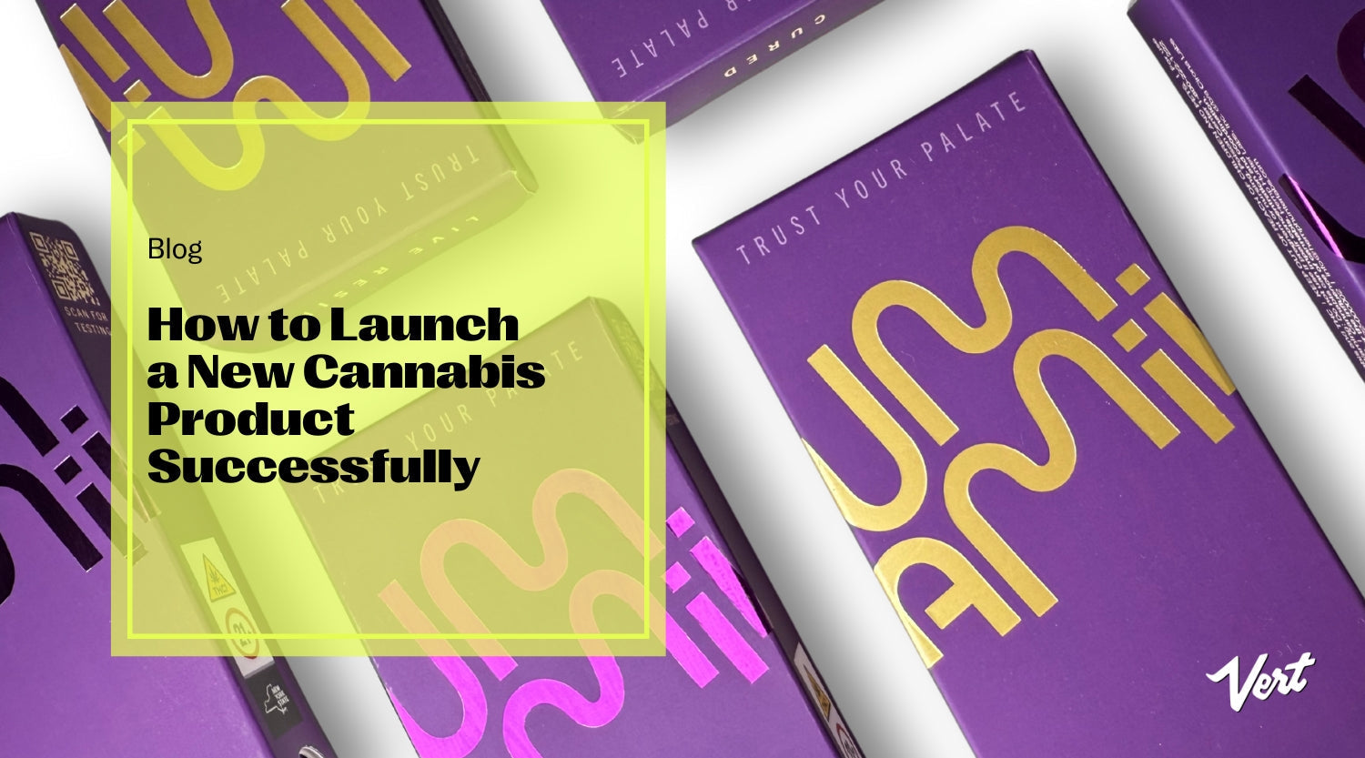 Product launch process